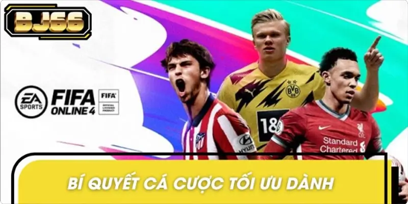 Bí quyết cá cược tối ưu dành cho người mới bắt đầu