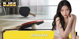 Bóng Bàn