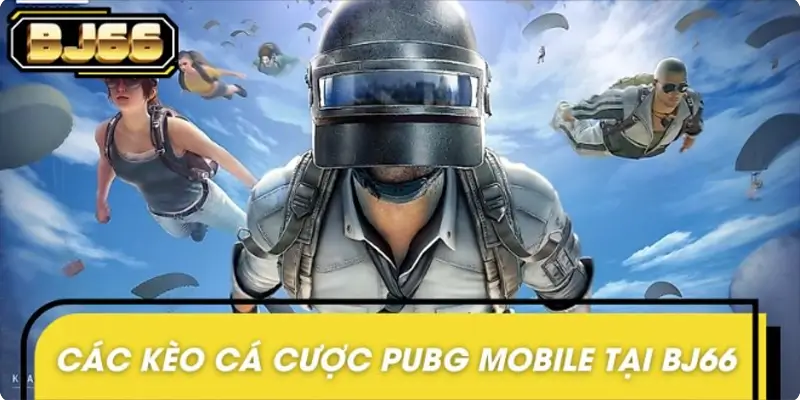Đa dạng các kèo cược PUBG Mobile được sử dụng hiện nay