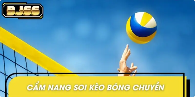 Kinh nghiệm soi kèo bóng chuyền dành cho tân binh