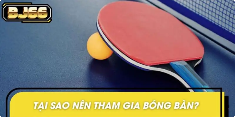 Lý do khiến bóng bàn trở thành lựa chọn cá cược hấp dẫn