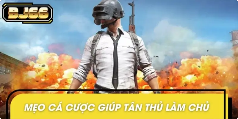 Mẹo cá cược giúp tân thủ nhanh chóng làm chủ trò chơi