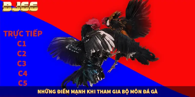 Những điểm mạnh khi tham gia bộ môn đá gà