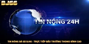 Tin Nóng Đá Gà BJ66 - Trực Tiếp Đấu Trường Thomo Đỉnh Cao
