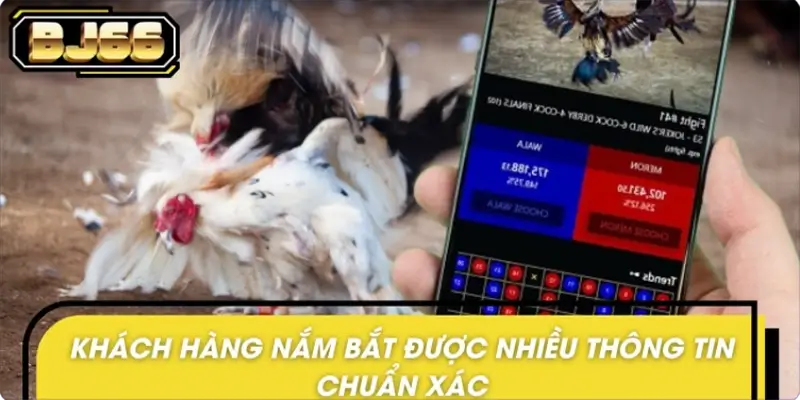 Update diễn biến trực tiếp trong tin nóng đá gà BJ66